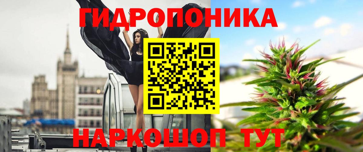 Каннабис сатива  Шишки марихуана семена  Обь  Бошки марихуана план  Марихуана гибрид  Вход с VPN 